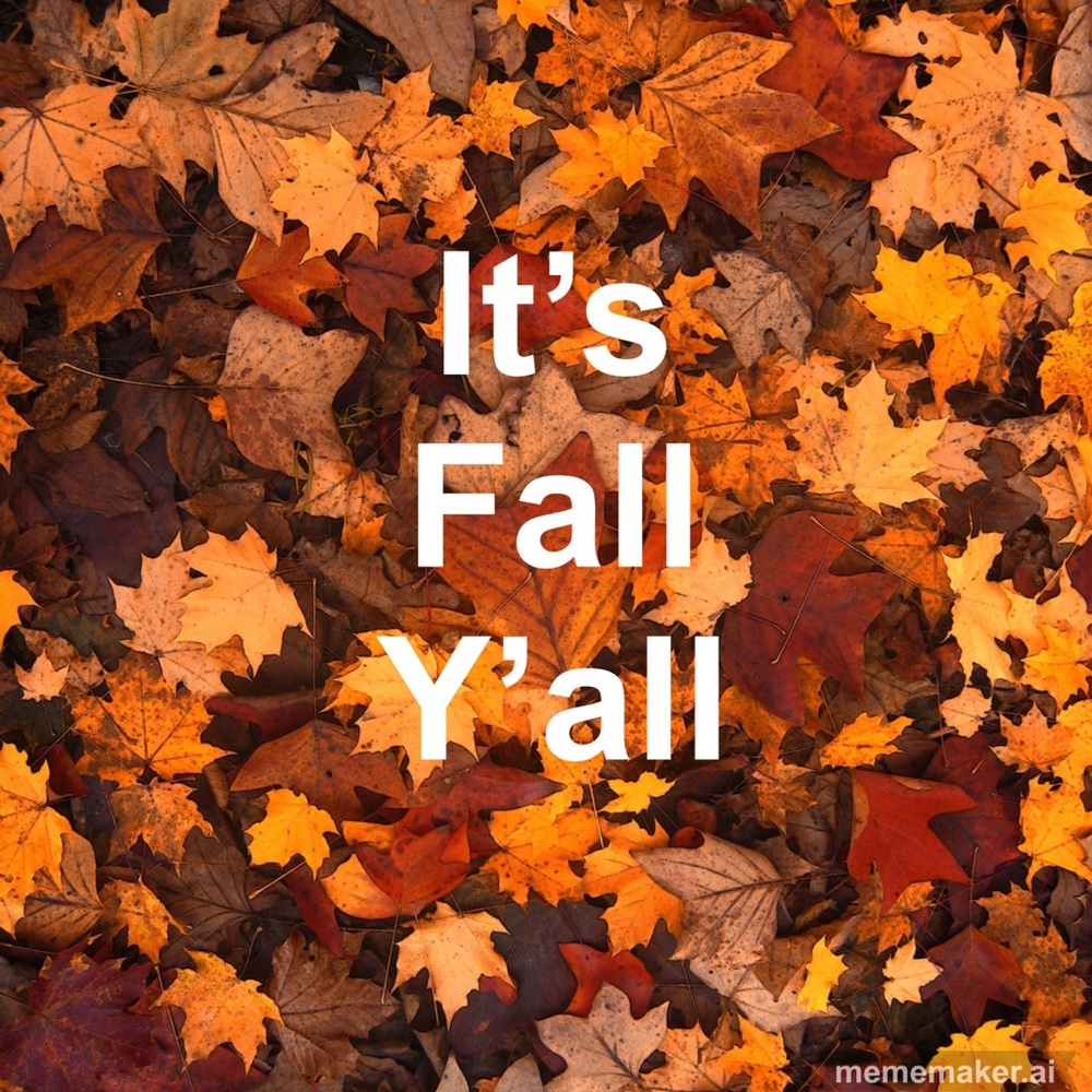 🍁 “Fall” in Love with these decorations!!
